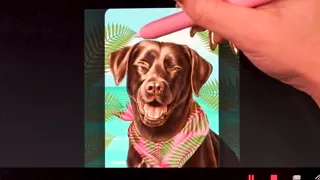 From the lesson: Module 5.5 Dog - Animation in Procreate Dreams