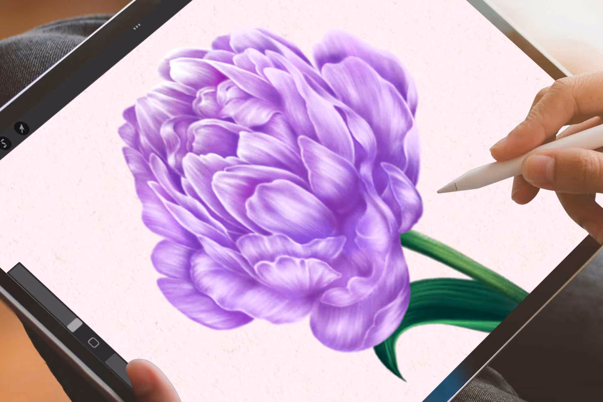 Wild Flowers in Procreate