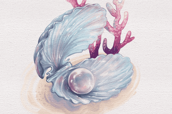 Sea Shell Procreate Oil Paint Tutorial