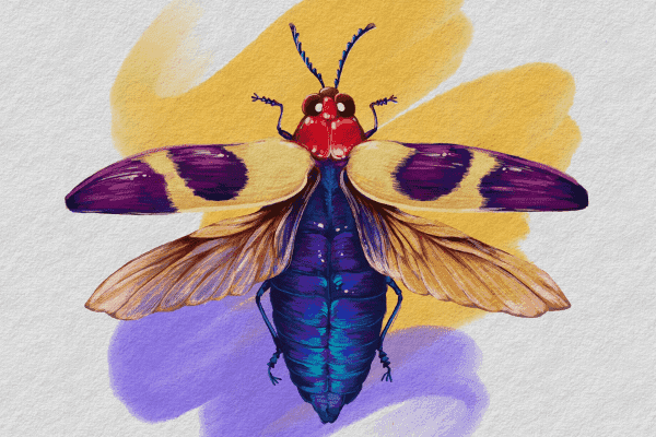 Jewel Beetle Gouache Procreate Tutorial