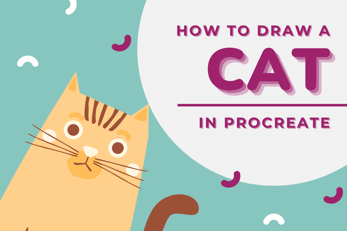 How to Draw A Cat in Procreate