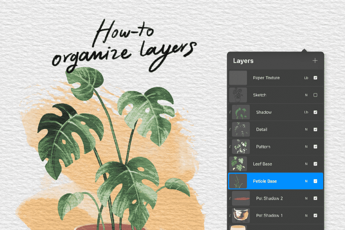 How to Organize Layers in Procreate (Sample Format)